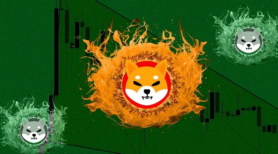 Shiba Inu (SHIB)
