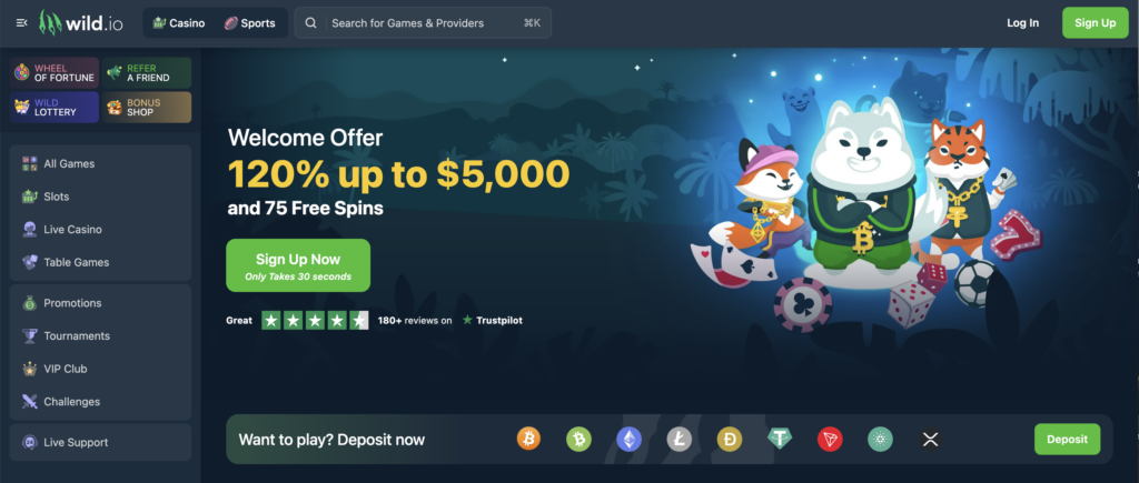 wild.io anonymous gambling